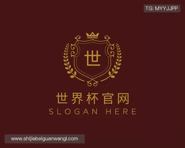 关于世界杯官网